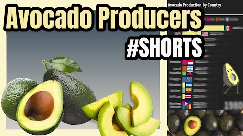 World's Largest Avocado Producers | Avocado Producers by Country | #Shorts 🥑 📊