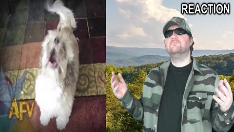 Cody The Screaming Dog | Dog | AFV REACTION!!! (BBT)