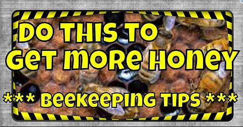 Beekeeping for Beginners | Supers Fill Up FASTER | MORE Honey #beekeeping