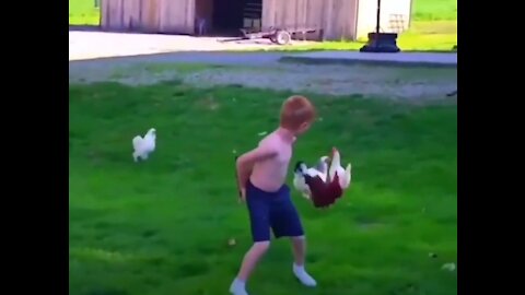 Kids,chickens , Funny videos compilation 2020