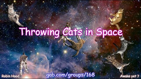 Throwing Cats in Space