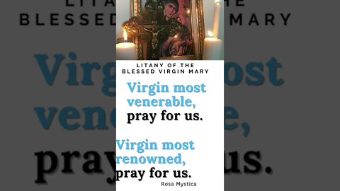 Virgin most venerable, pray for us #shorts
