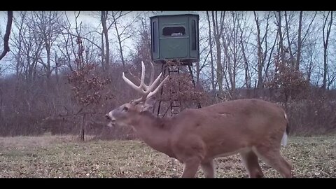 Late Season Muzzleloader Whitetails | Deer & Deer Hunting TV