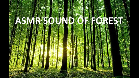 Nature Sounds | Relaxing Nature ASMR | FOREST | USE HEADPHONES