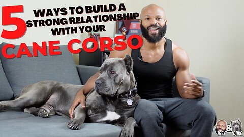 5 Ways to Build a Strong Relationship With Your Cane Corso