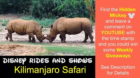 Kilimanjaro Safari - Animal Kingdom - Disney World