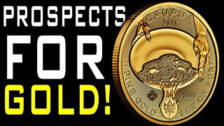 THE PROSPECTS FOR GOLD!
