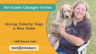 Giving Elderly Dogs a New Home With Karen Cole