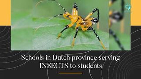 Schools in Dutch province feeding INSECTS to students