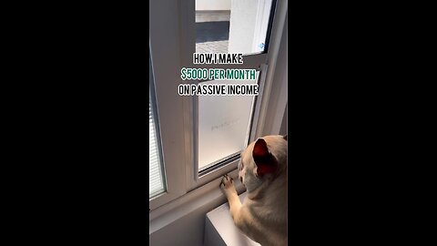 How To Make $5000 in Passive Income | Mochi The French Bulldog