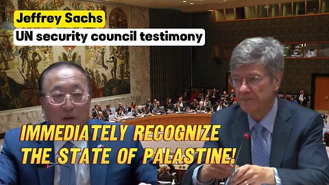 Jeffrey Sachs - Immediately Recognize the State of Palestine