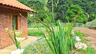 Casa de Veraneio em Minas Gerais - Casa Confortável Para Fins de Semana