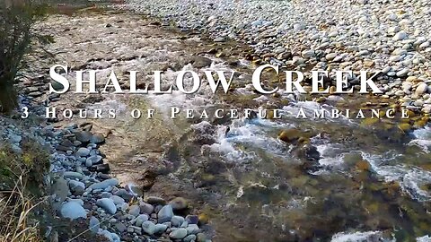 Tranquil Rocky Creekbed | Serene Nature ASMR | Shallow Flowing Water