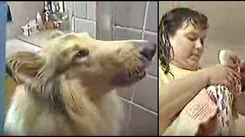Rescue 911 - Lassie saves baby