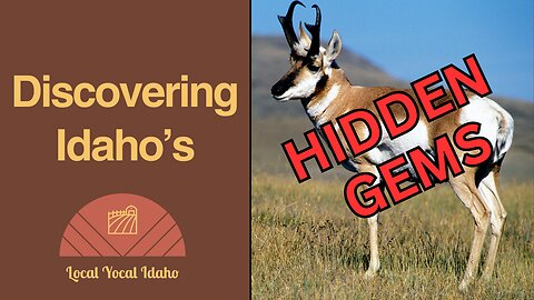 Discovering Idaho's Hidden Gem: The Pronghorns