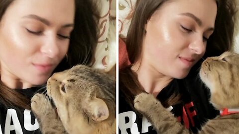 Kitten Adorably Can’t Get Enough Kisses