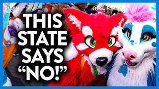 Furries Mad as This State's New Law Prevents Them from Recruiting Minors | DM CLIPS | Rubin Report