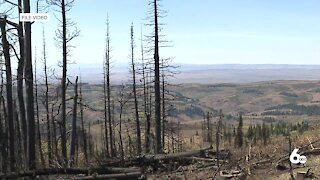 Fire danger still a concern in Twin Falls despite recent rain