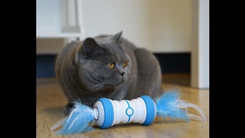 Automatic Funny Cat Toy 😍 New Cool Gadgets