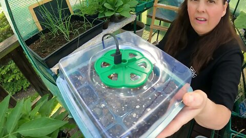 Unboxing: Seed Starter Tray with Grow Light - 5Pcs Seed Starter Kit with Adjustable Brightness