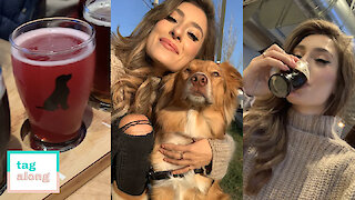 Enjoy A Craft Beer In Toronto's Dog Friendly Brewery