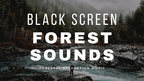 4 hours of Forest Sounds Black Screen | Nature sounds | Dark Screen Forest Sounds