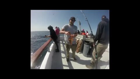 Daily Double Sportfishing! Sculpin and Kelp Rockfish! Quarantine fishing!