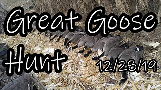 Great Goose Hunt