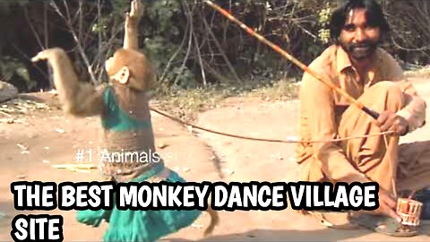 The best monkey dance in village site...