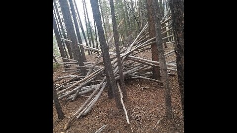 4 Bigfoot / sasquatch Another small structure with bones, project sasquatch