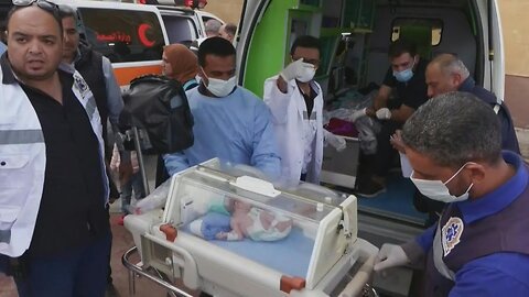 Premature babies evacuated from Gaza arrive in Egypt