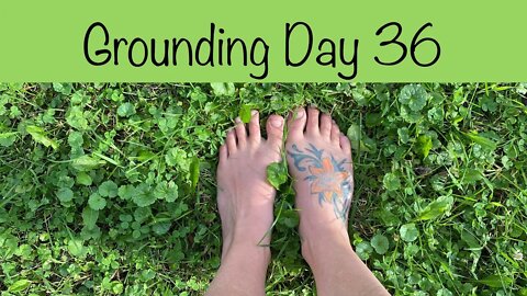 Grounding Day 36 - look at the green
