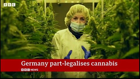 The future looks greener in Germany! 🌿 Celebrating the partial decriminalisation of cannabis