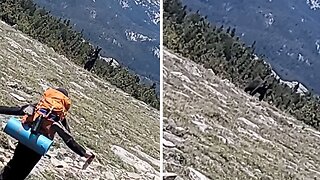 Brave boy courageously scares off black bear during hiking adventure