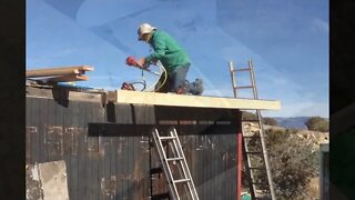 Shed Roof Rebuild #3