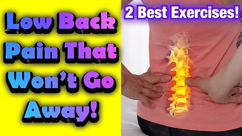 Low Back PAIN That Won’t Go Away! How to Strengthen the Low Back! *2 Best Exercises* | Dr Wil & Dr K