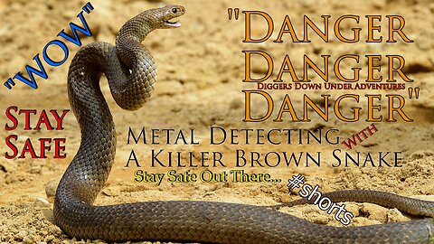 The Deadly Eastern Brown Snake Found Metal Detecting