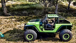 2016 Jeep Trailcat