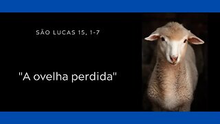 Lc 15, 1-7 | A ovelha perdida