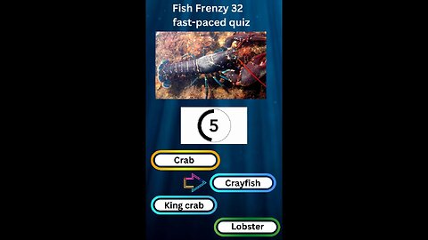 Fish Frenzy 32 A fast-paced quiz