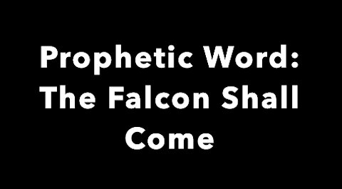 Prophetic Word: THE FALCON SHALL COME!
