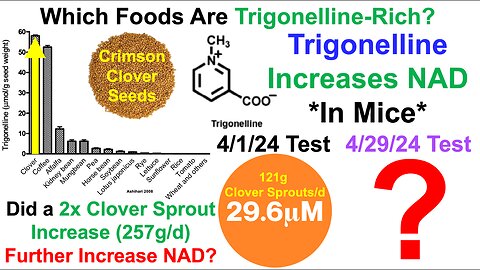 2x Trigonelline Increase: Impact on NAD?