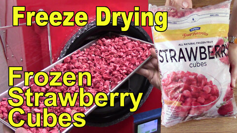 Freeze Drying Frozen Strawberry Cubes