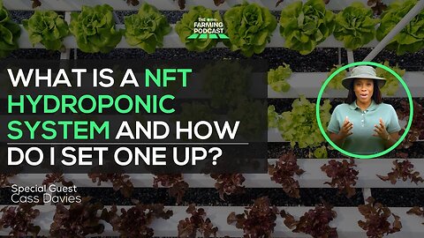 WHAT IS AN NFT HYDROPONIC SYSTEM, AND HOW DO I SET ONE UP?