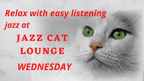 Relax with easy listening JAZZ at JAZZ CAT LOUNGE WEDNESDAY