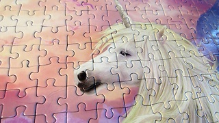 Puzzle Unicorn magic assembling