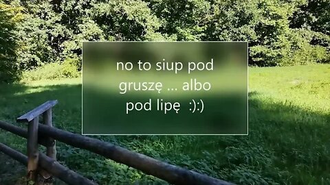 no to siup pod gruszę albo pod lipę :):)