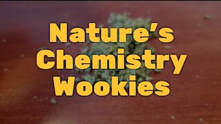 Nature's Chemistry Wookies: Impressive Quality Flower