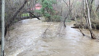 Los Gatos Creek 15 Jan 23