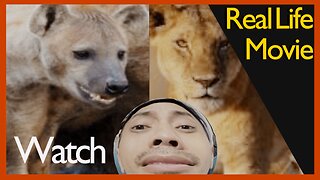 React: Lioness Vs. Hyenas IRL